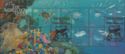 Adelaide Stamp Fair on Marine Life