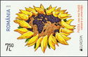 Sunflower of Peace Doves Around Globe