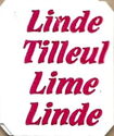 Linde, Tilleul, Lime, Linde, glossy