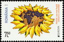 Sunflower of Peace Doves Around Globe