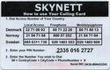 Skynett