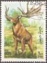 Irish Elk (Megaloceros giganteus)