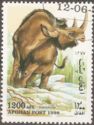 Woolly Rhinoceros (Coelodonta antiquitatis)