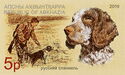 Russian Spaniel