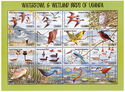 Waterfowl and Wetland Birds
