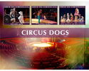Circus dogs