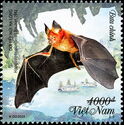 Hạ Long Leaf-nosed Bat (Hipposideros alongensis)