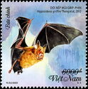 Griffin's Leaf-nosed Bat (Hipposideros griffini)