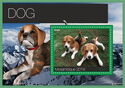Dogs Beagles