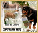 Fauna Breed of dogs I