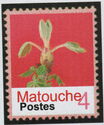 Dam Batai Province: Matouche - Flower