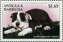 Staffordshire Terrier - Overprinted