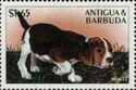 Beagle - Overprinted