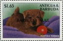 Norfolk Terrier - Overprinted