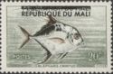African Pompano (Alectis crinitus) overprinted