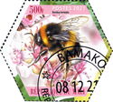 Bombus terrestris