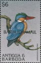 Malachite Kingfisher (Alcedo cristata) - Overprinted