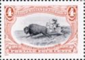 American Bison (Bos bison), Hunted by an Indian