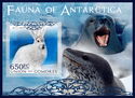Polar Fauna of Antarctica