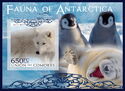 Polar Fauna of Antarctica