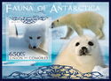 Polar Fauna of Antarctica