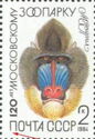 Mandrill (Mandrillus sphinx)