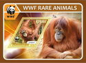 WWF Rare Animals Orangutan
