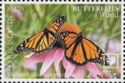 Monarch butterfly (Danaus plexippus)