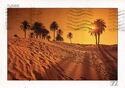 Tunisie "Desert light"
