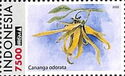 Cananga Odorata (Ylang-Ylang)