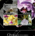 Orchids of the Caribbean