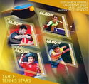 Table Tennis Stars