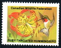 Ruby-throated hummingbird
