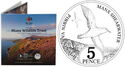 5 Pence (Manx Shearwater)