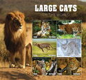 Large Cats of the World