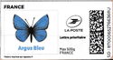 Blue Butterfly. Argus Bleu. Redesign with laposte logo