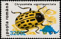Willow Leaf Beetle (Chrysomela vigintipunctata) Overprinted