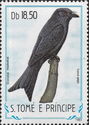 Velvet-mantled Drongo (Dicrurus modestus)
