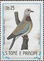 Laughing Dove (Stimatopelia senegalensis thomé)