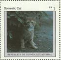 Domestic Cat (Felis silvestris catus)