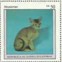 Abyssinian (Felis silvestris catus)