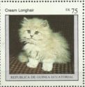 Cream Longhair (Felis silvestris catus)