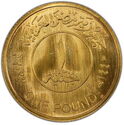 1 Pound (75 Anniversary of Faculty of Medicine Ain Shams University)