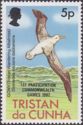Tristan Albatross (Diomedea exulans dabbenena)