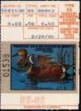 Blue-winged teal (Anas discors)