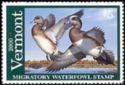 American wigeon (Anas americana)