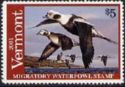 Long-tailed duck (Clangula hyemalis)
