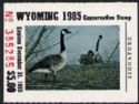 Canada goose (Branta canadensis)