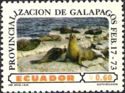 Galapagos Sea Lion (Zalophus wollebaeki) 