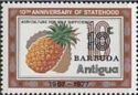 Pineapple (Ananas comosus) - Overprinted